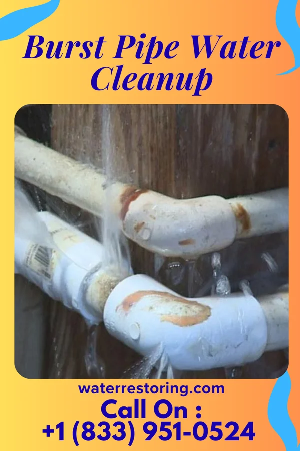 Burst Pipe Water Cleanup in Middleburg, NC