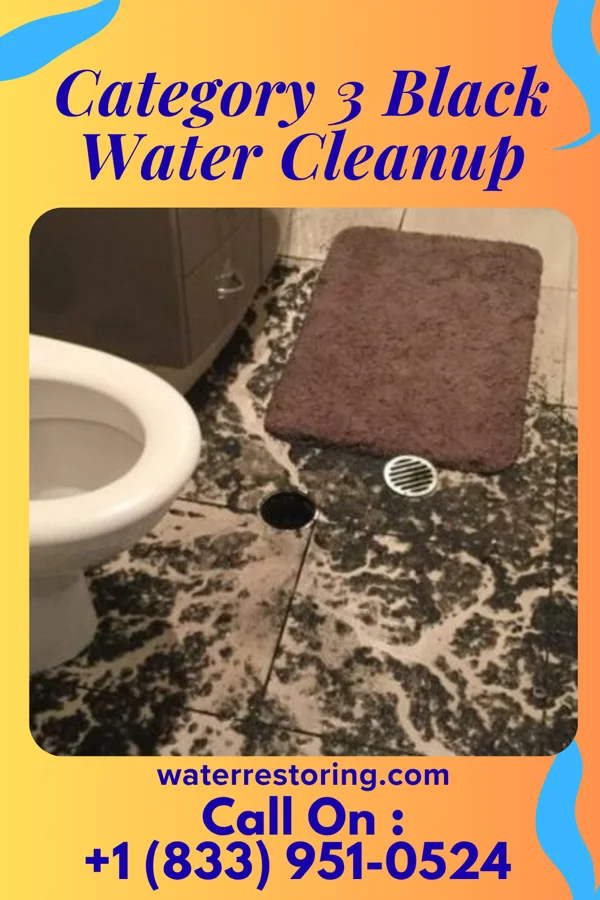 Category 3 Black Water Cleanup in Middleburg, NC