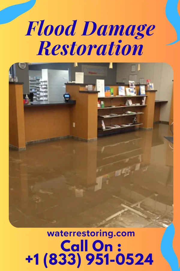 Flood Damage Restoration in Middleburg, NC