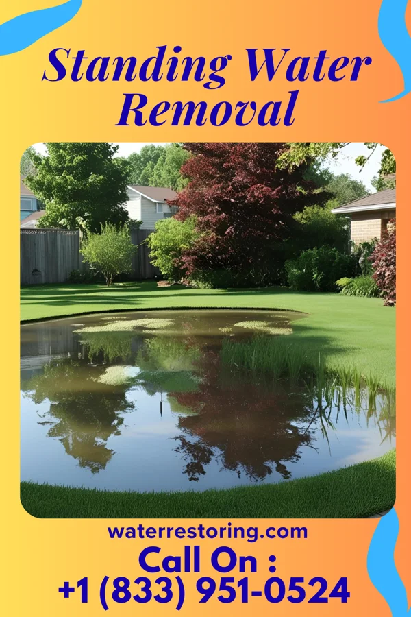Standing Water Removal in Middleburg, NC
